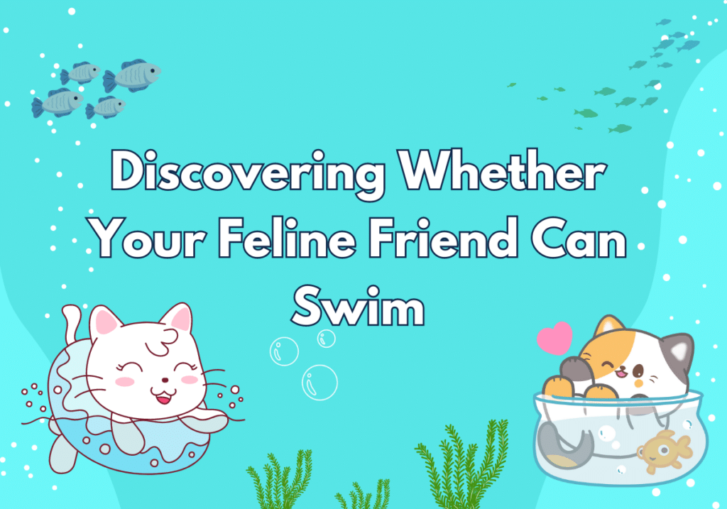 Can Cats Swim? 5 Easy Steps To Teaching Your Cat To Swim