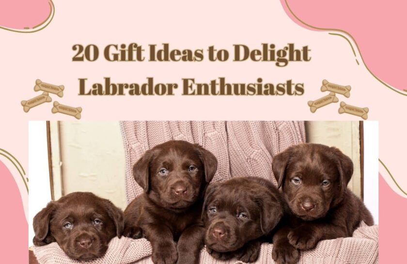 Gifts for Labrador Lovers 20 Gift Ideas for Lab Enthusiasts