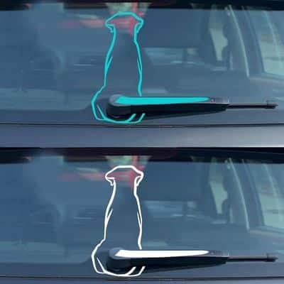 Labrador Car Decal - Gifts For Labrador Lovers | Pawcool ™