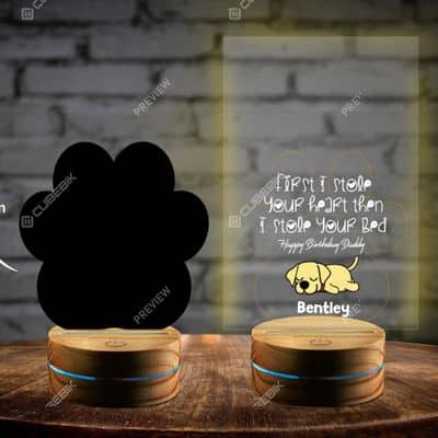 Labrador Night Light - Gifts For Labrador Lovers | Pawcool ™