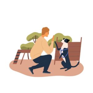 Training Tips For Lab Dogs