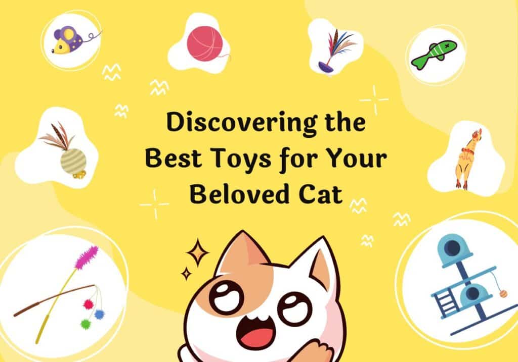 Discovering 10+ Best Cat Toys For Your Beloved Cat In 2023