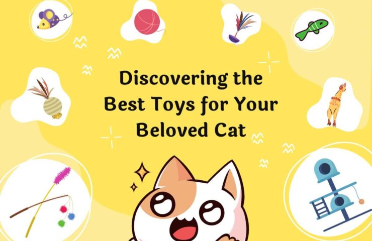 Discovering 10+ Best Cat Toys for Your Beloved Cat in 2023