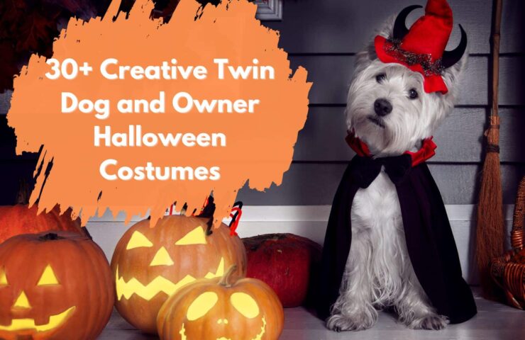 Creative Twin Dog and Owner Halloween Costumes