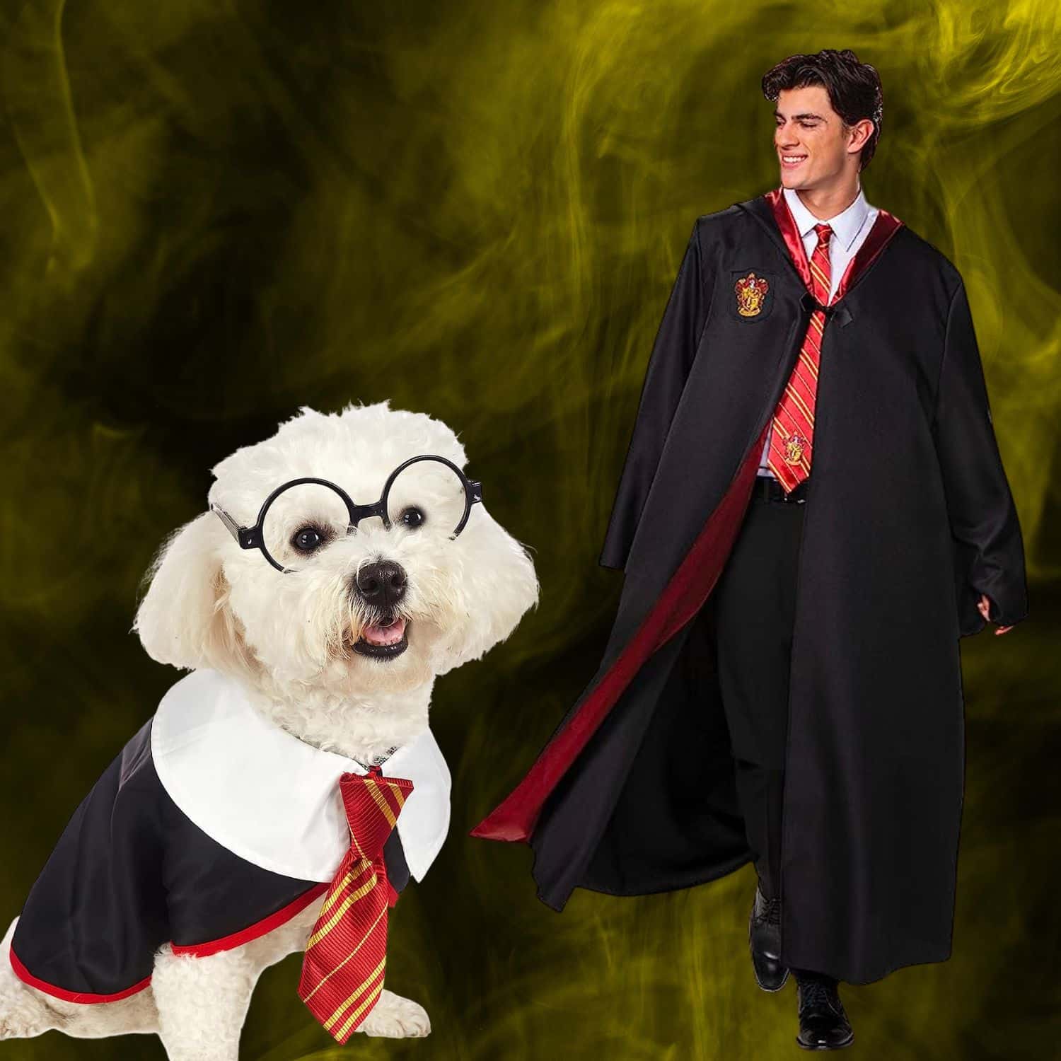 30+ Creative Twin Dog And Owner Halloween Costumes