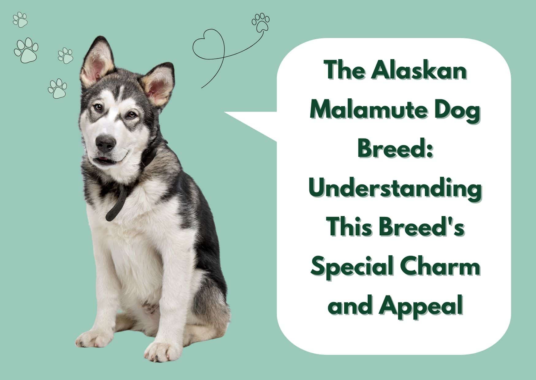 Discover The Majestic Alaskan Malamute Dog Breed In 2023