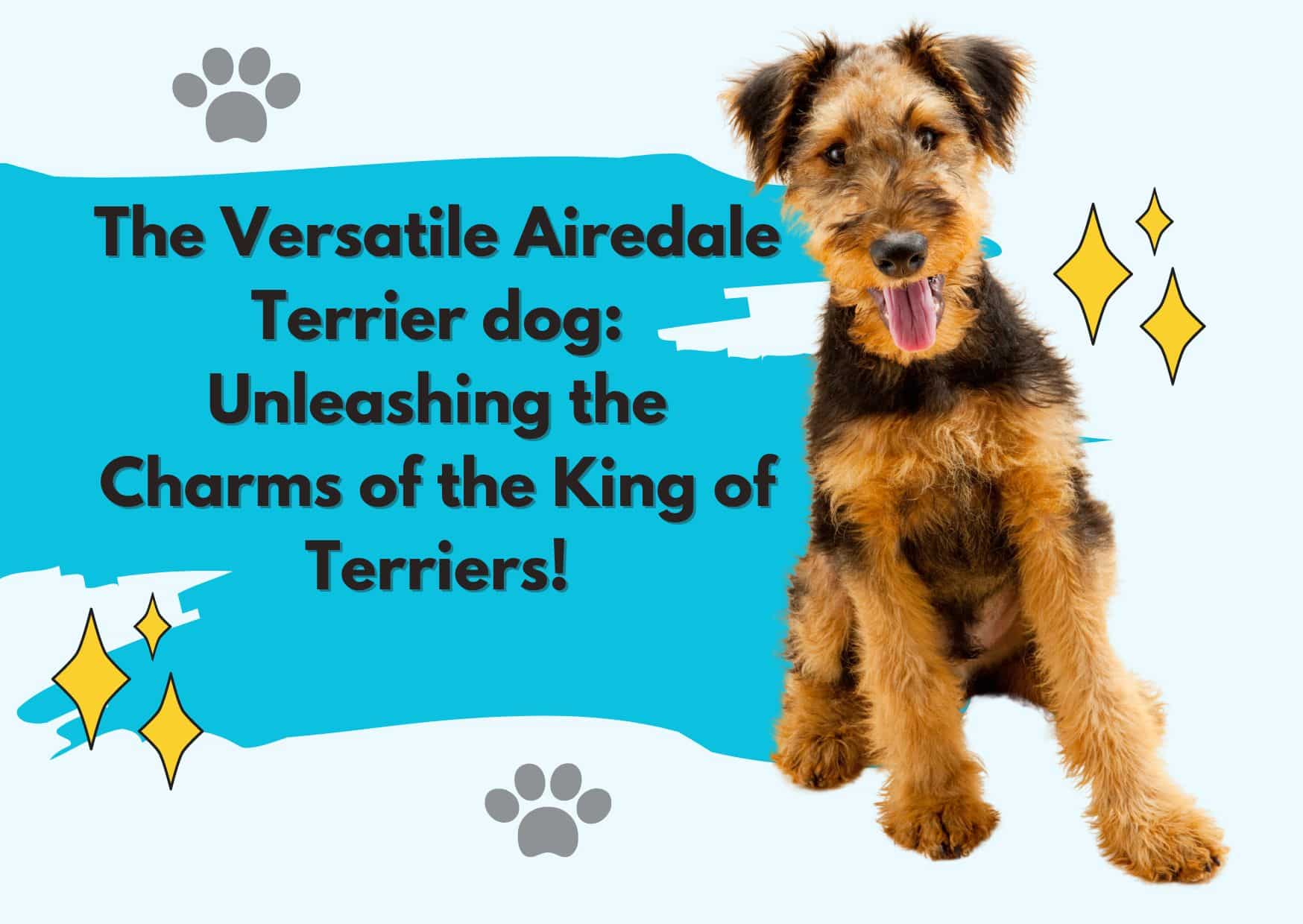 The Versatile Airedale Terrier Dog  Unleashing The Charms Of The King Of Terriers 