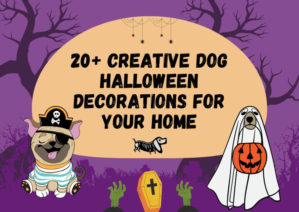 20 Creative Dog Halloween Decorations For Your Home