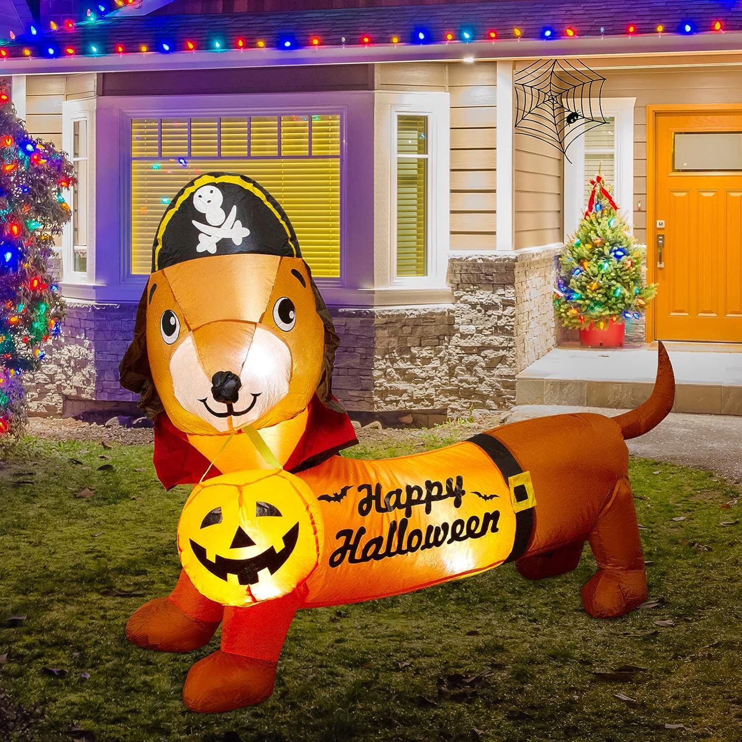 20+ Creative Dog Halloween Decorations For Your Home