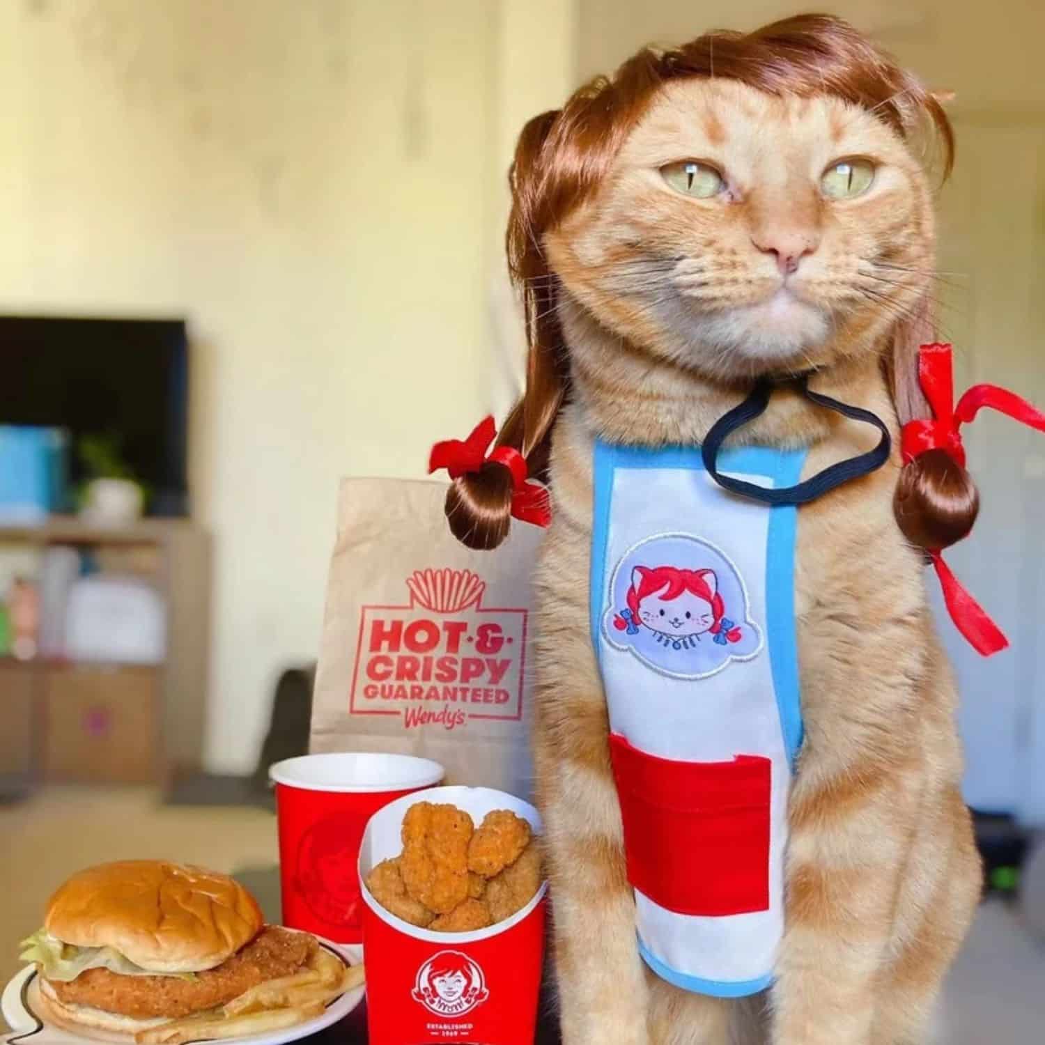Meowdy'S Apron