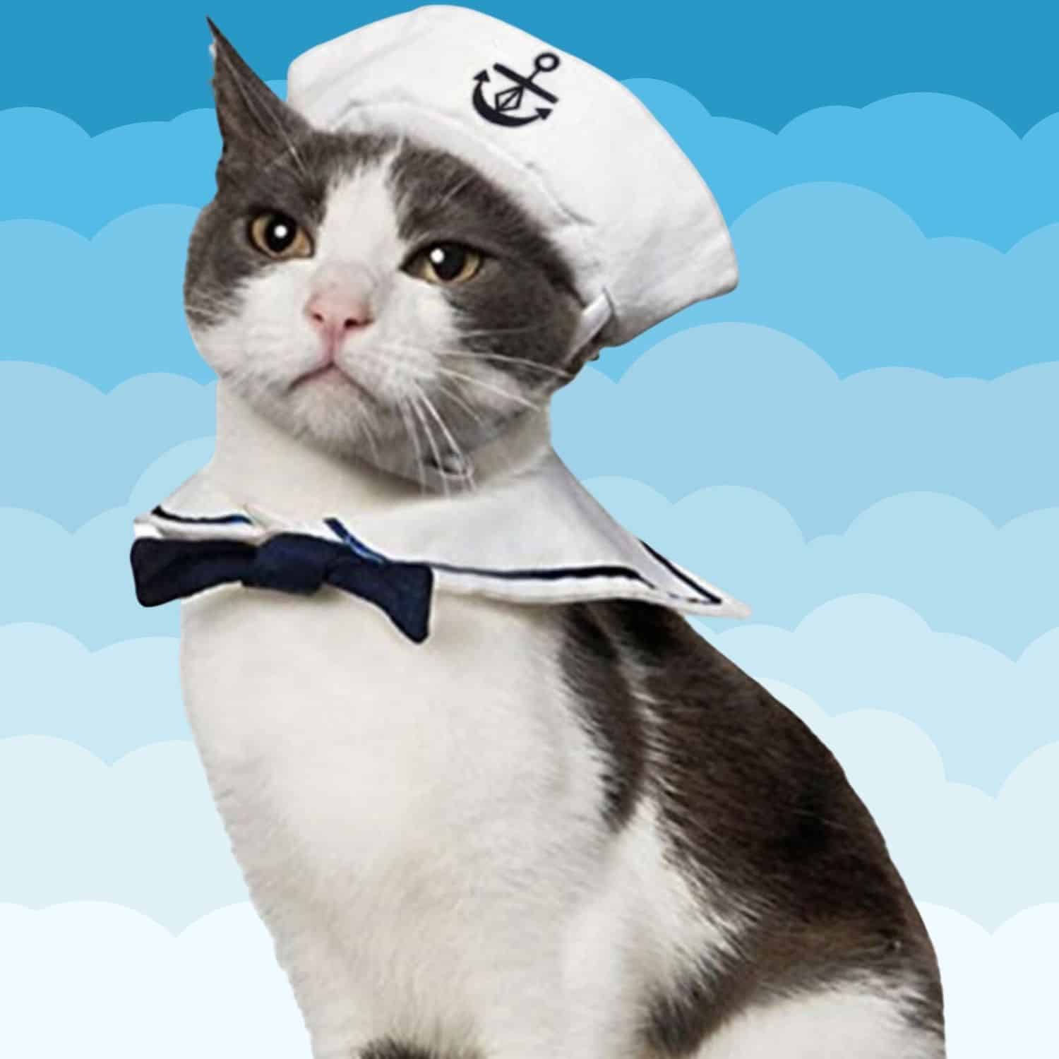 Sailor Cat Costume
