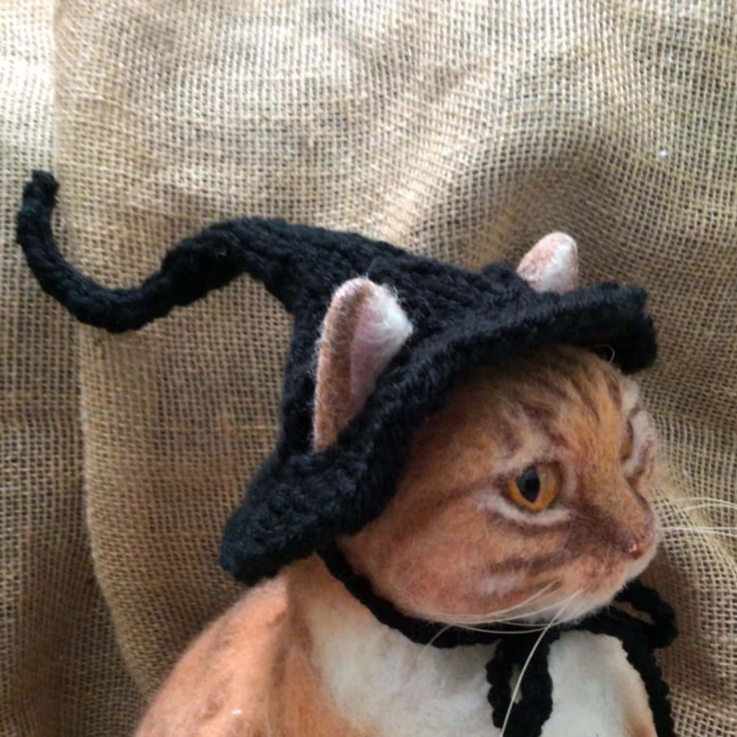 Witch Hat For Cats