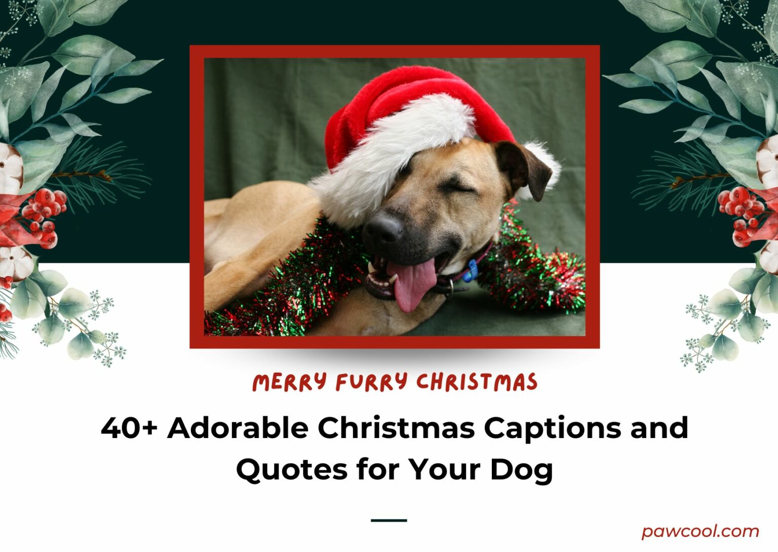 40-adorable-christmas-dog-captions-for-the-holiday-season