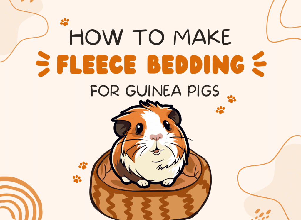 101 Guide How To Make Fleece Bedding For Guinea Pigs PawCool
